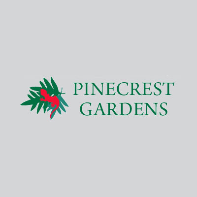 Pinecrest Gardens | Pinecrest, FL | January 2015 | Flow